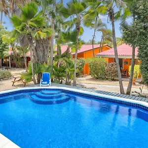 https://tropical-inn.comcaribbean.com
